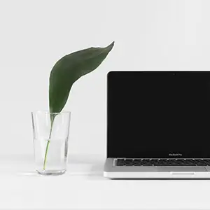 Contact Us | frevelo Personal Accounts | Accountant | Cambridge